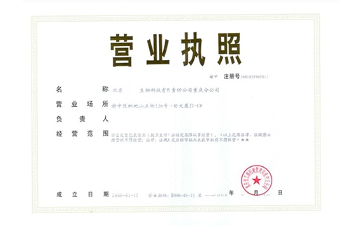 分公司营业执照代办